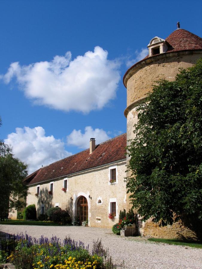 Chateau De Ribourdin Chevannes  Екстериор снимка