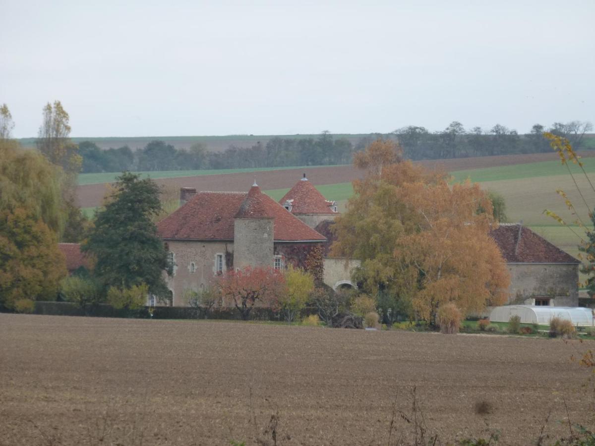 Chateau De Ribourdin Chevannes  Екстериор снимка